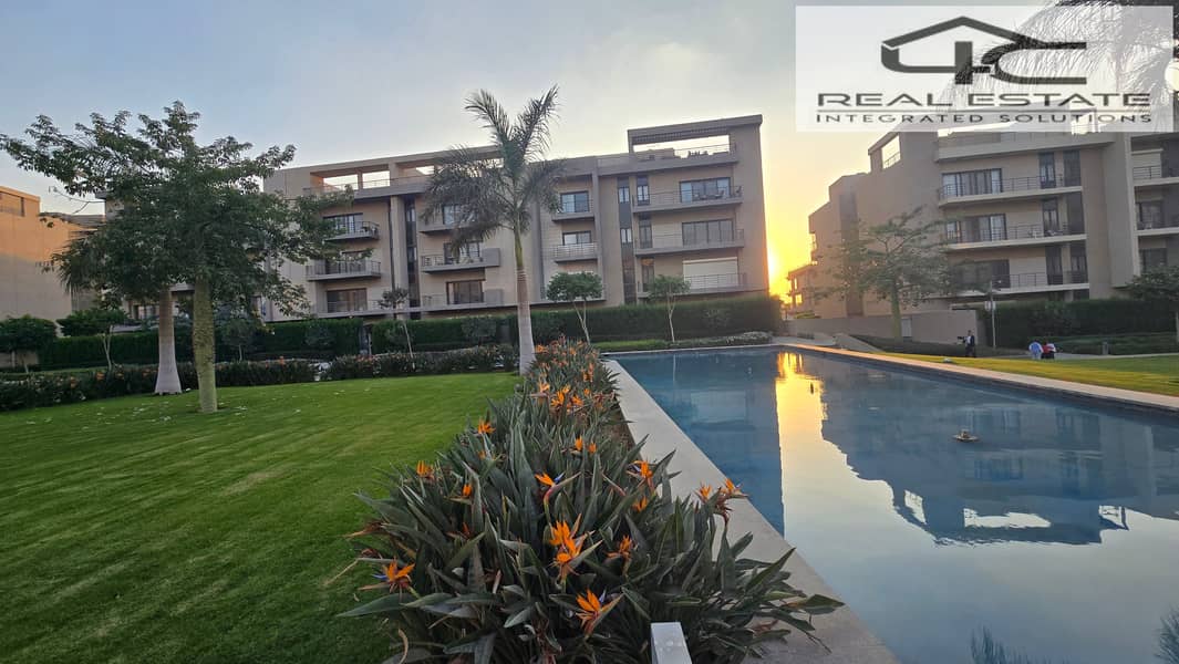 11 20251117_162252. jpg