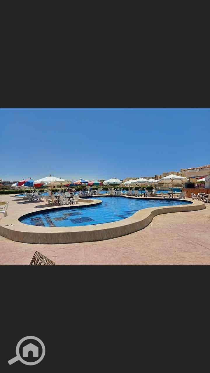 12 7e5266e6-e9d2-4797-a909-b3c72b589152. jpg