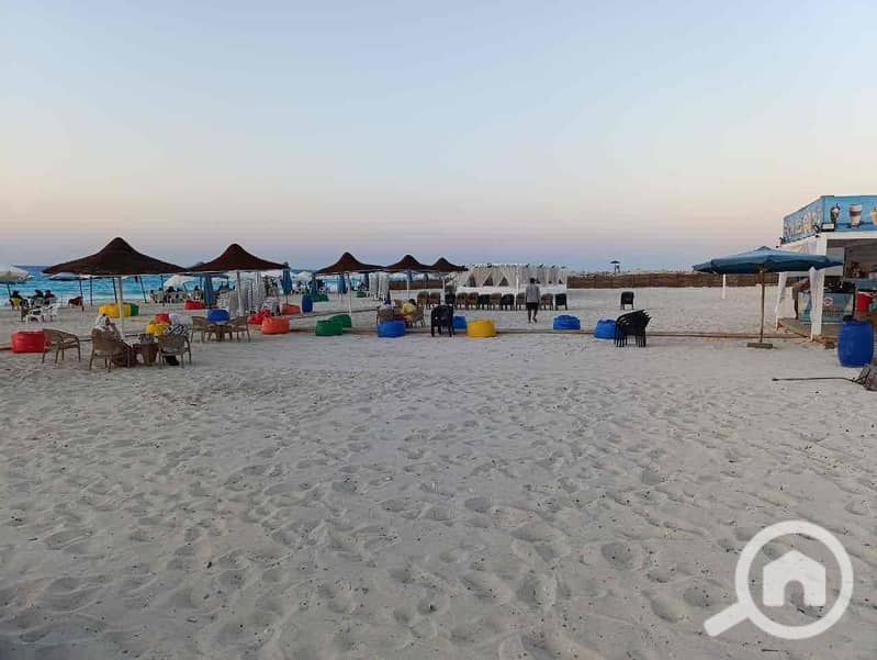 13 ca30e1f1-9f26-41c5-80ef-7e2759f1bb78. jpg