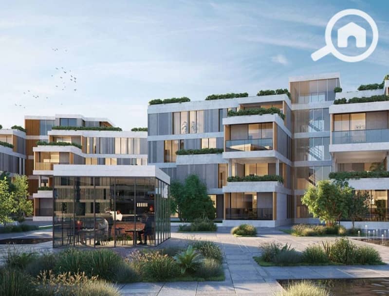 9 sodic-vye-zayed222_8_11zon. jpeg