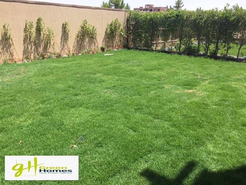 3 6b40c69f-dfda-4fdf-b76e-a1e829196d57. jpg