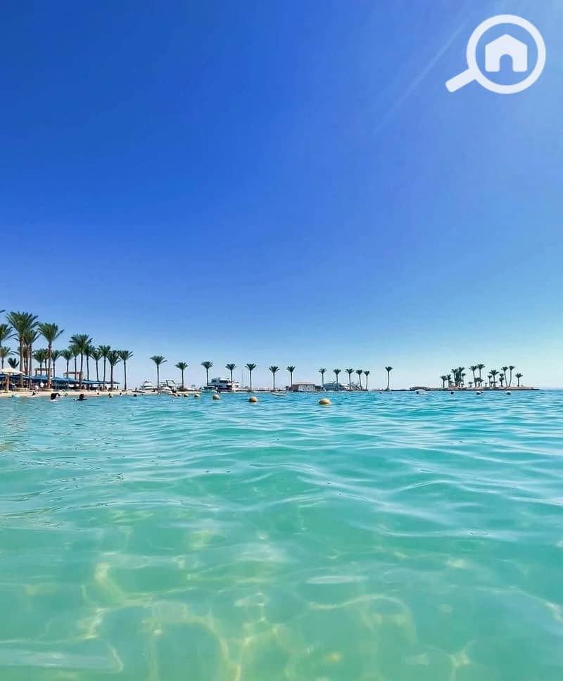 4 545754346_1231477478996319_5930828791132149662_n. jpg