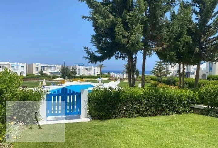 8 WhatsApp Image 2025-05-04 at 12.46. 06 PM. jpeg