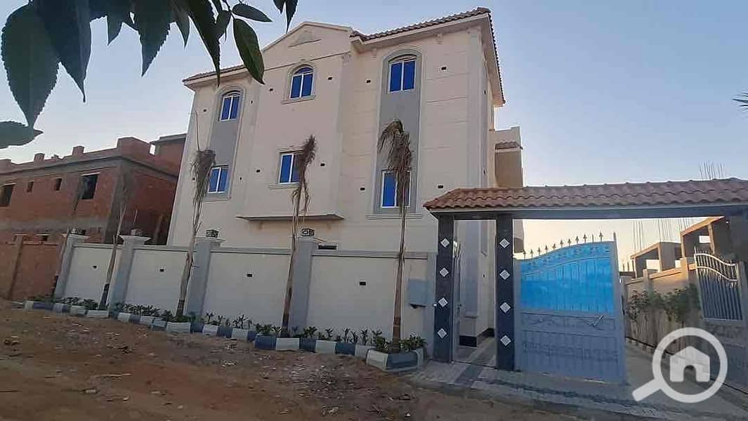 11 77e21508-789b-4512-850a-81a58cf99871. jpg