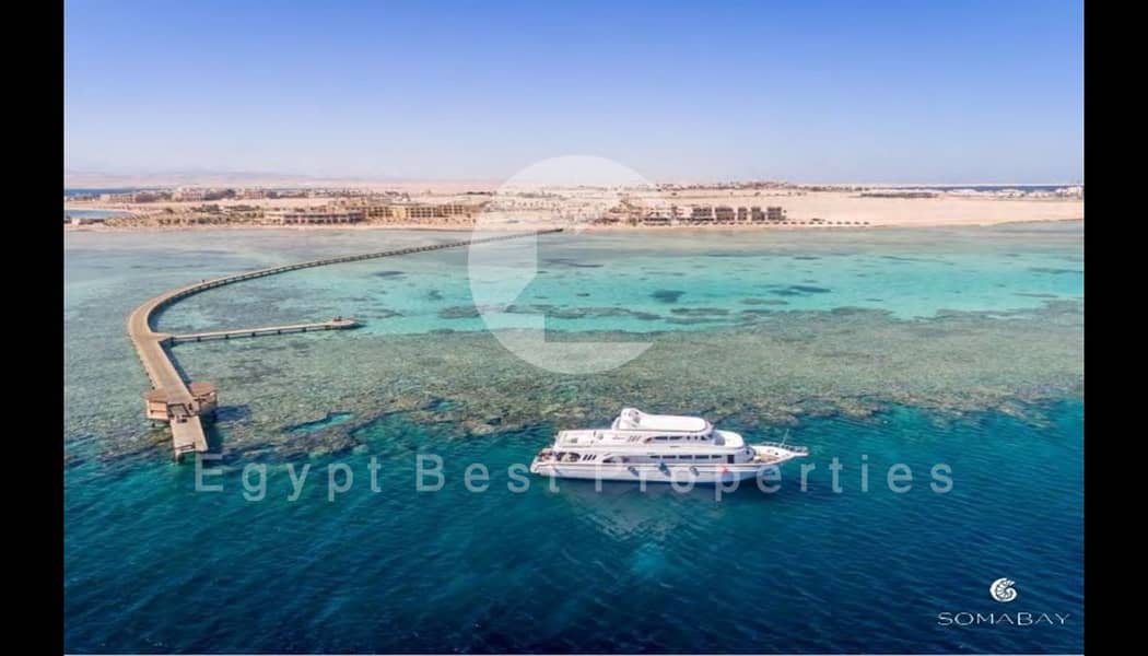 Screenshot_27-2-2024_144714_. jpg