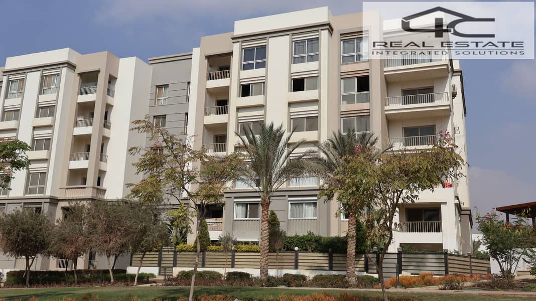 IMG_4935. JPG IMG_4935. JPG