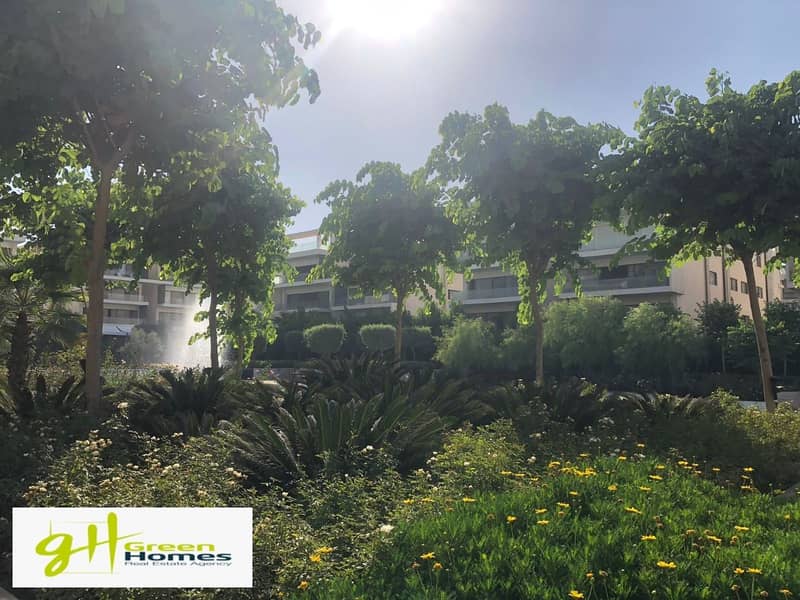 4 WhatsApp Image 2025-02-27 at 14.27. 52. jpeg