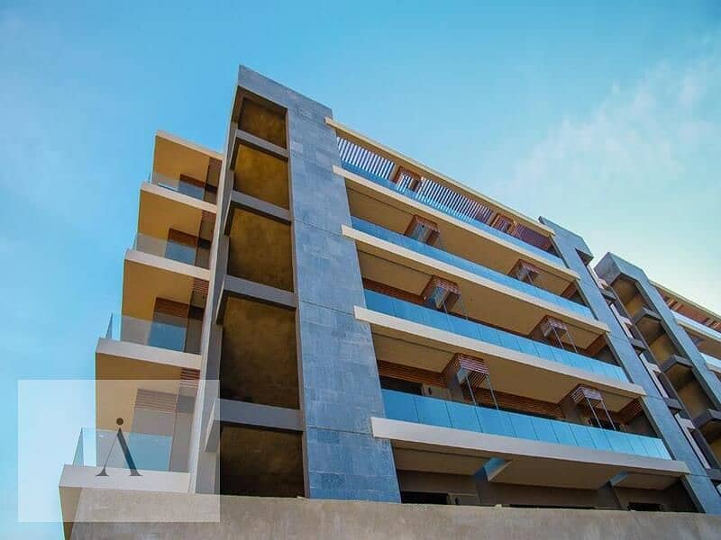 12 WhatsApp Image 2023-07-16 at 12.53. 28. jpg