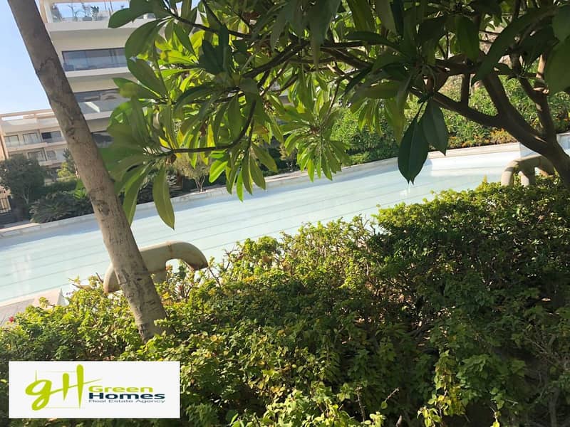 4 WhatsApp Image 2025-02-27 at 14.27. 24. jpeg