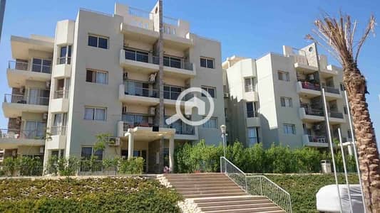 شقة 3 غرف نوم للايجار في الشيخ زايد، الجيزة - WhatsApp Image 2025-10-07 at 4.45. 50 PM (2). jpeg