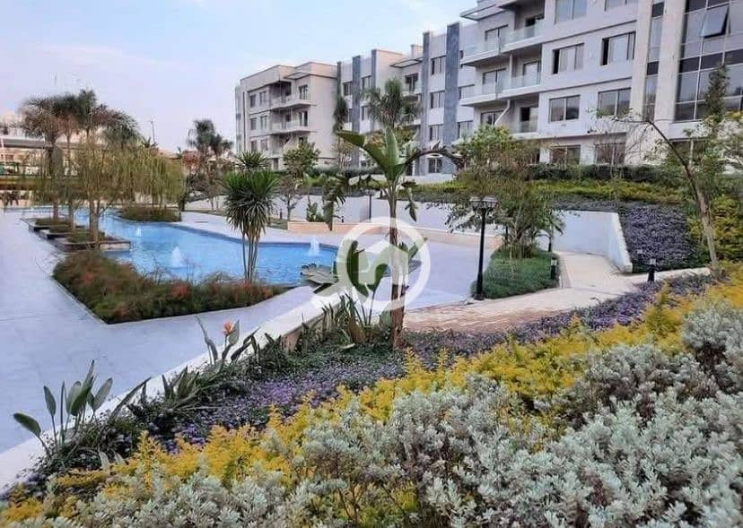 7 1b5287ab-f4b8-4c54-8e48-4ef793de7474. jpg