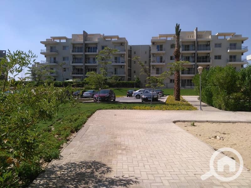 8 589fe172-f53e-488c-aef0-472cf506783c. jpg