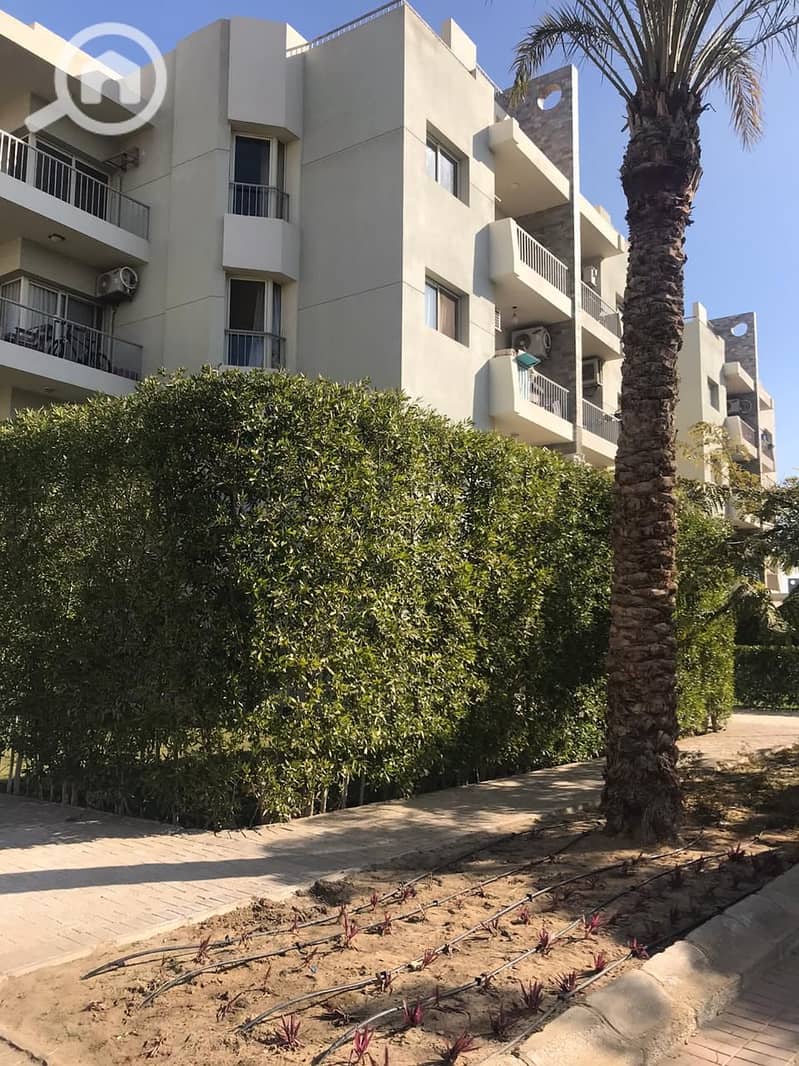 11 WhatsApp Image 2020-02-05 at 12.06. 11 PM. jpeg