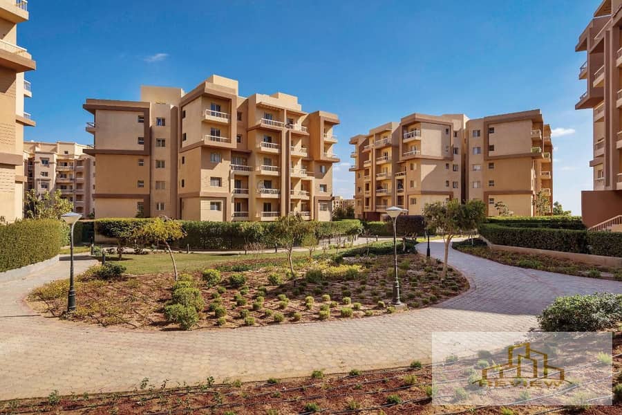 5 WhatsApp Image 2025-11-25 at 15.45. 55_8a78fde9. jpg