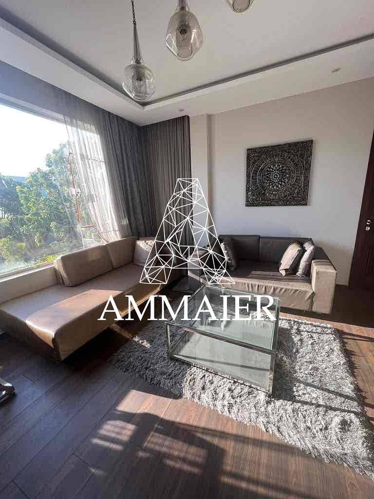 3 d57fcd52-2418-4270-8845-e2f9b43f5909. jpg