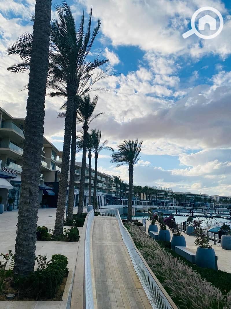 7 WhatsApp Image 2025-02-09 at 17.08. 16_2b40d001. jpg