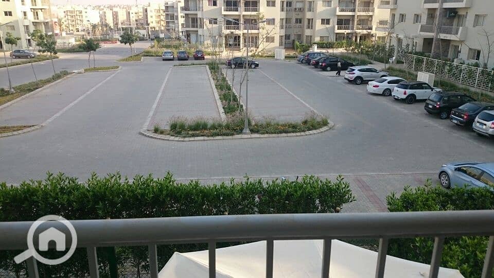 2 DSC_0027_resized_20170424_012949601. JPG