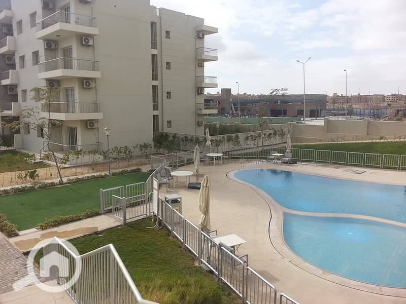 7 12573836_10154010492196454_1052478313866882010_n. jpg