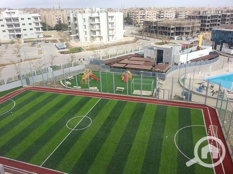 8 12541046_10154010492821454_5152696616114511086_n. jpg