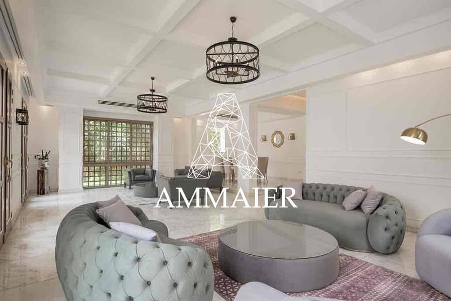 7 53b91a32-e1bf-4434-adb6-65ce385257d5. jpg