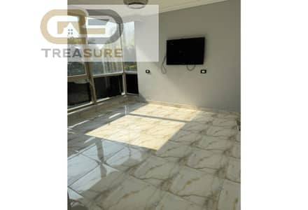 3 Bedroom Apartment for Rent in New Cairo, Cairo - db6c76e0-51f9-4168-921c-c99214cbfbaa. jpg