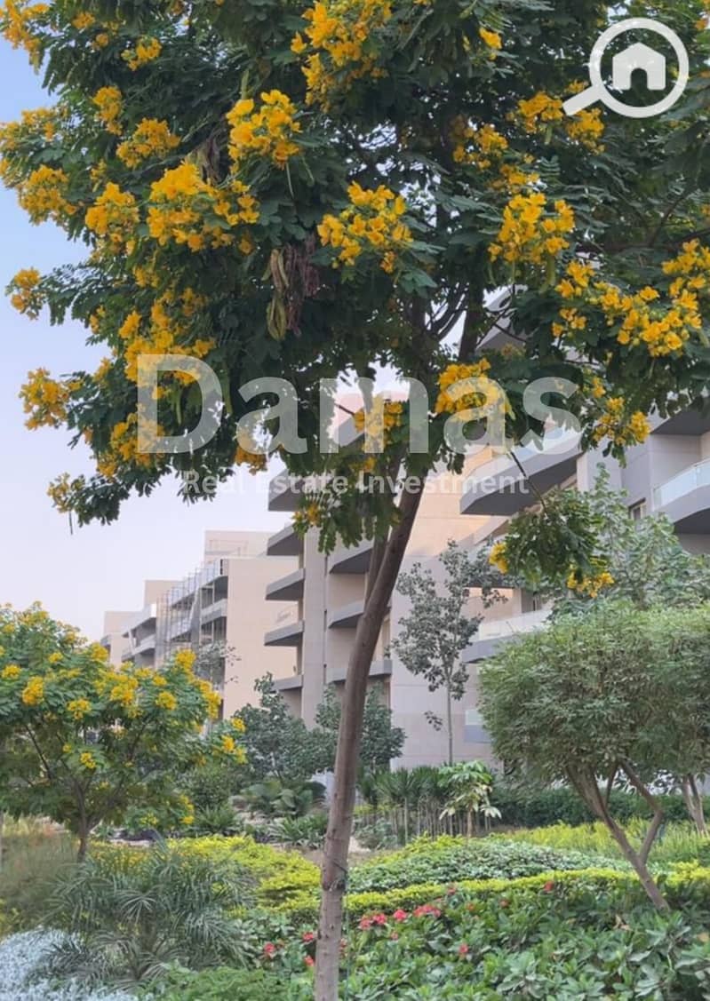 9 7065e18e-b161-468f-9078-6bff9122c52a. jpeg