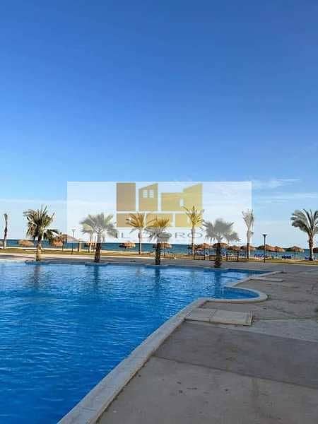 10 7Wu03jGY76KgsyNtSMgVLLWyBv93KtvV5u7Gn7UL. jpeg