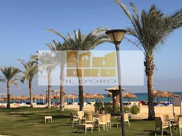 11 TWW8vbTSn7jcwG2Gzom3341t4Z1zaFeflk60Wtqq. jpeg