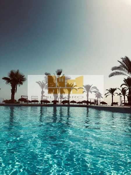 14 xvPB8eIq0ChTAc9YLHEGyTEKAf9GVpXoEEPe3BN7. jpeg