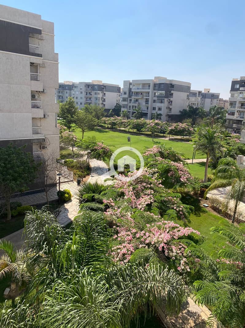 5 ca03df11-bea2-4a2d-8654-1fcae17186bf. jpg