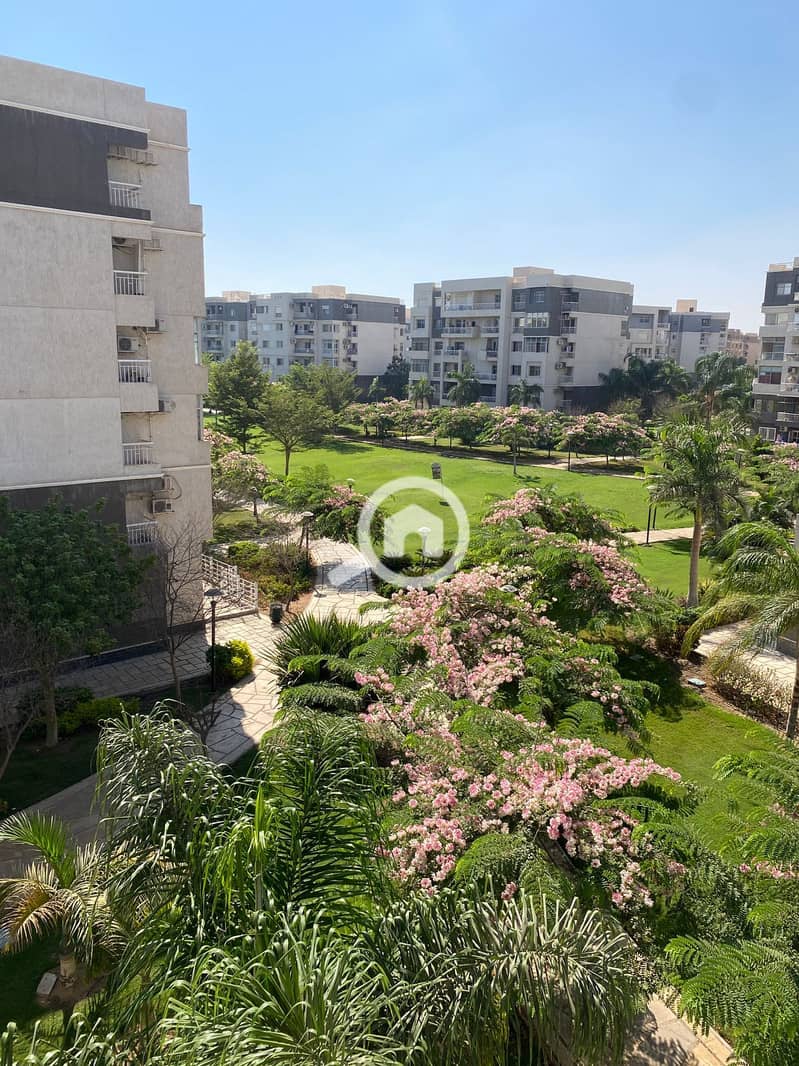 10 6a52097d-a87d-42fa-b960-09092cc80d75. jpg