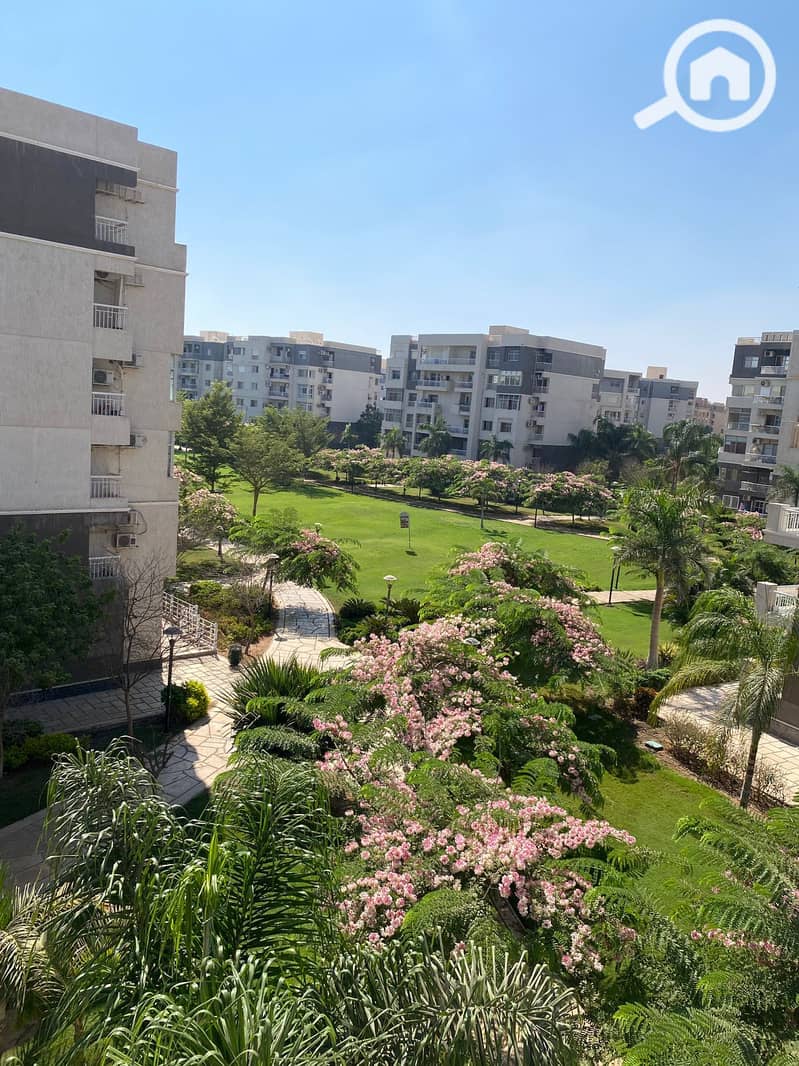 11 97c7c16c-2b4e-4638-b71b-2f9480d8ecf6. jpg