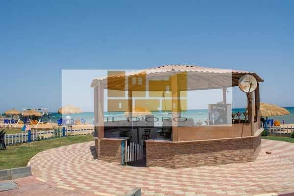 5 kD8Z5XxdBxybigGcJaeUNxzMMB9rBZtgeXVewZwJ. jpeg