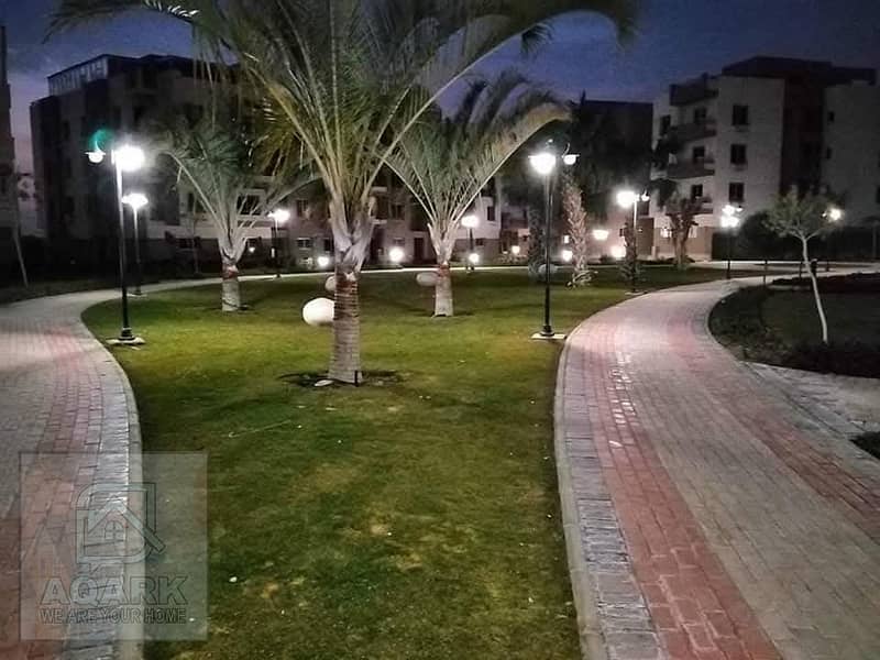 12 503619e0-7710-4220-838e-426046fed4ba. jpg