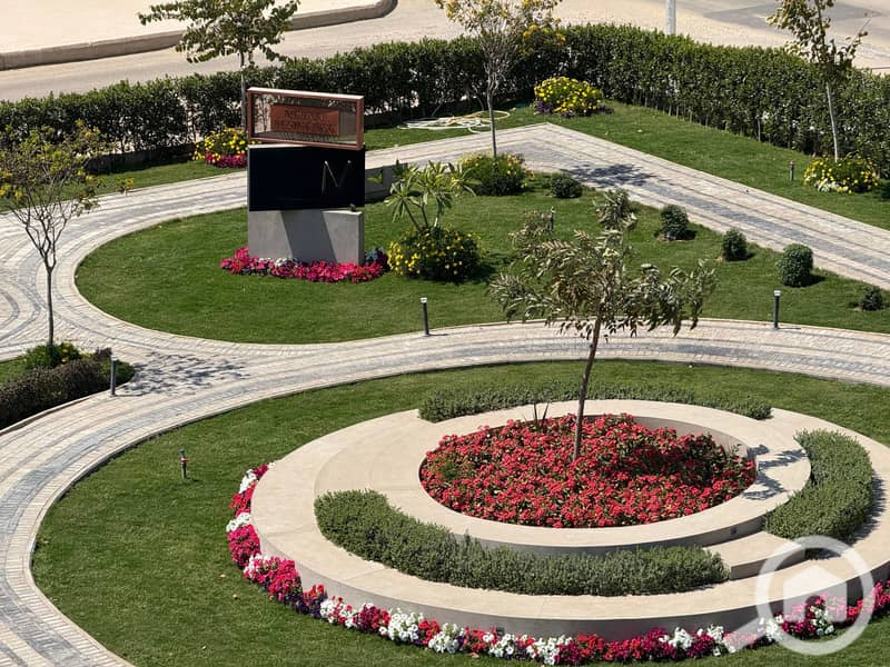 IMG_6106. jpeg IMG_6106. jpeg