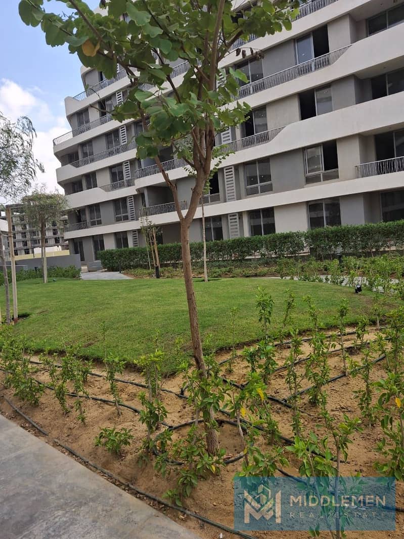 12 IMG-20251120-WA0049. jpg