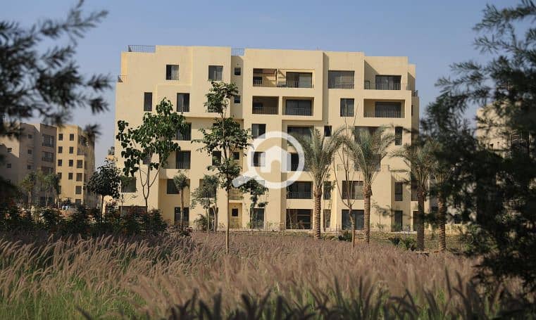 7 Screenshot (2855). png