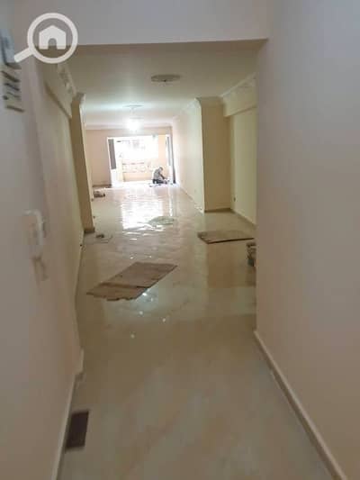3 Bedroom Apartment for Rent in Smoha, Alexandria - 584254188_1203629588481771_5496857149552309260_n (1). jpg