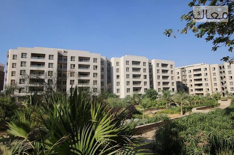 3 2a05d54b-f53e-42e4-acb9-aa4e2e230643. jpeg