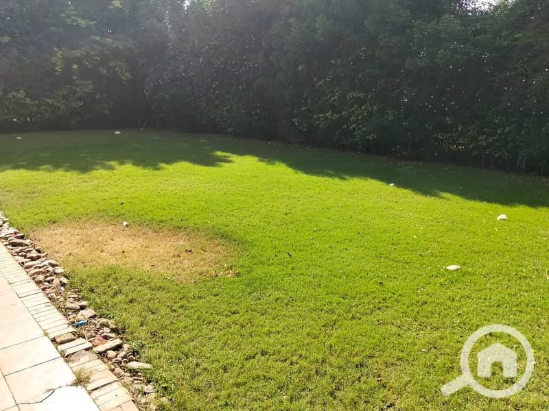 16 f83afaff-025e-4f17-926c-5f0beffed3c2. jpg