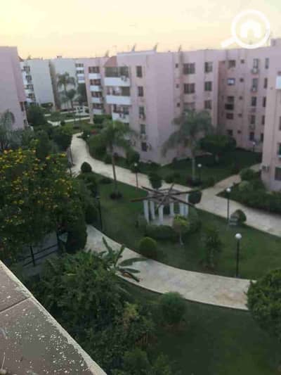 3 Bedroom Apartment for Sale in New Cairo, Cairo - 1000342685. jpg