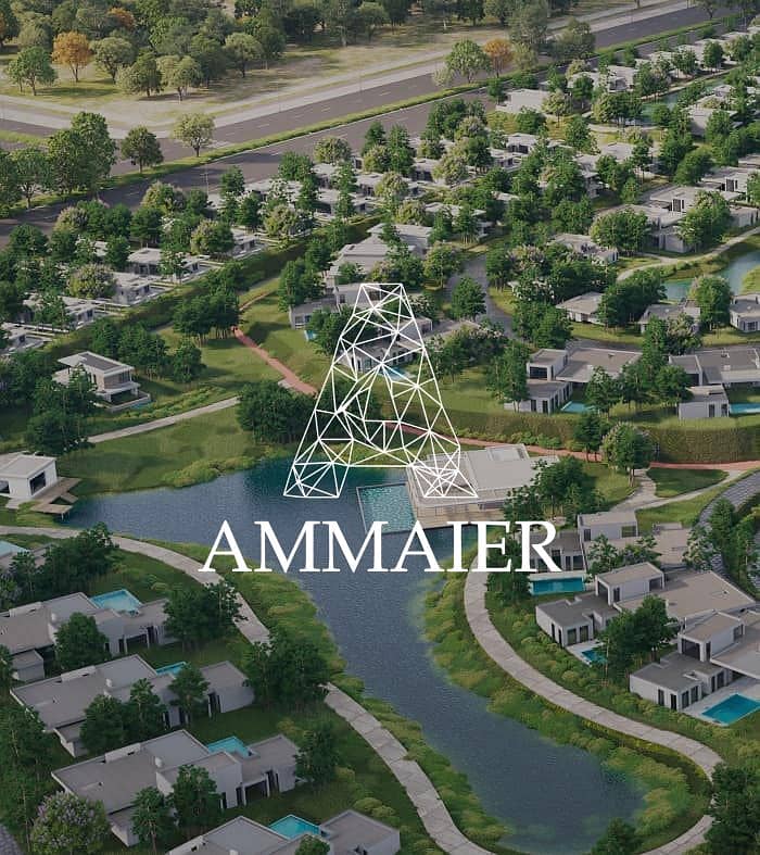 3 WhatsApp Image 2025-11-26 at 13.39. 38_d7ada4bd. jpg