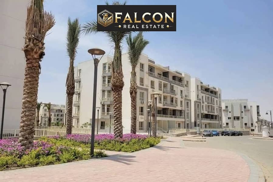 2 579063925_878003048236465_207514760729100188_n. jpg