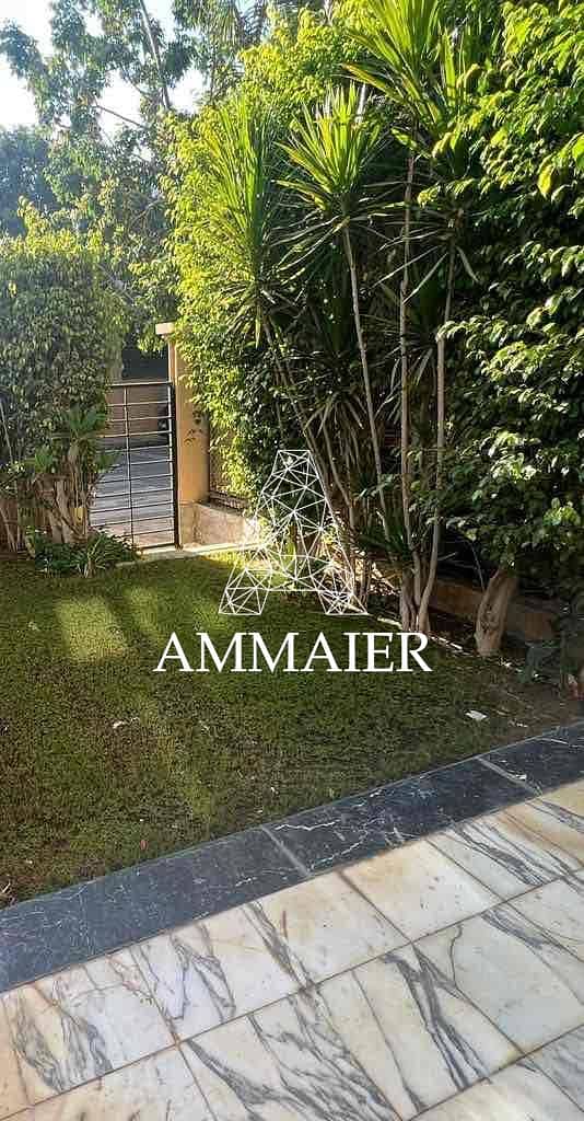 13 76615c51-d00b-4304-9db5-d20c2f9221f1. jpg