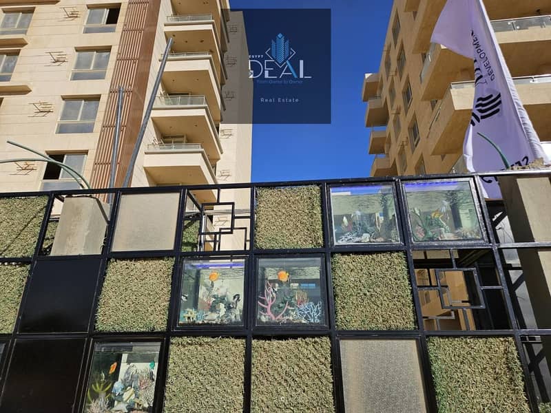 6 صورة واتساب بتاريخ 2025-07-15 في 12.41. 06_8ca5bf1b. jpg