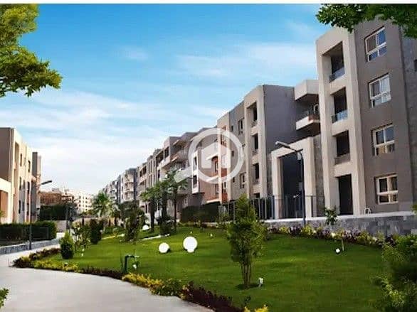 7 zayed regency. jpg