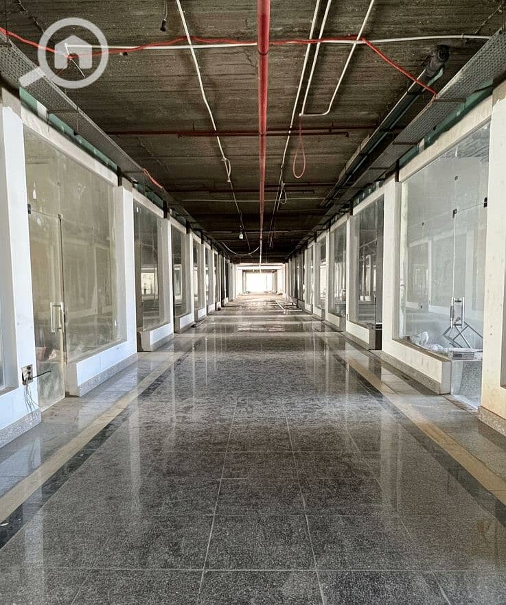 8 Generated Image September 15, 2025 - 2_26PM. png