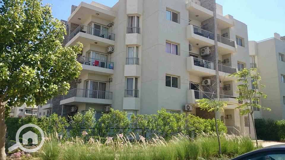 5 DSC_0014_resized_20170424_012951380. JPG