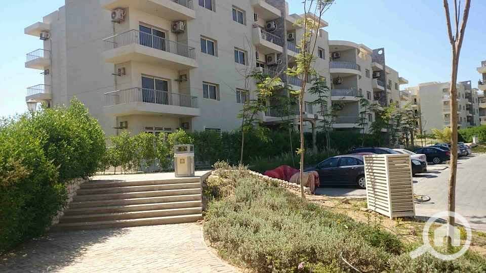 6 DSC_0016_resized_20170424_012950463. JPG