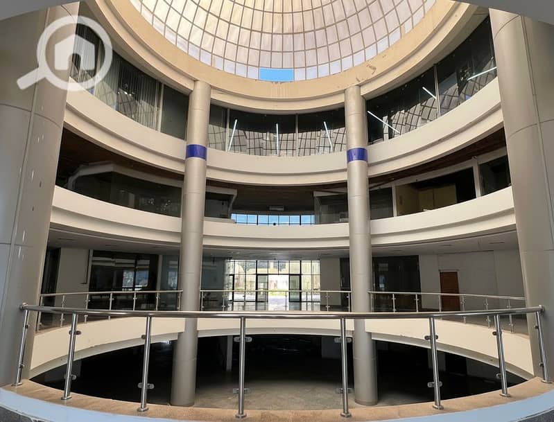 8 Generated Image September 23, 2025 - 2_06PM. png